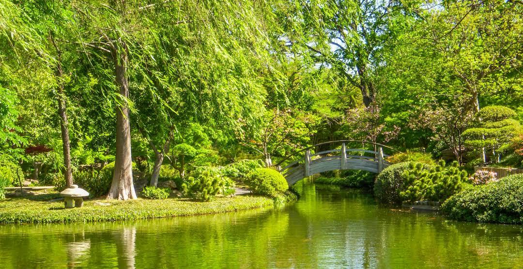 Fort Worth Botanic Garden